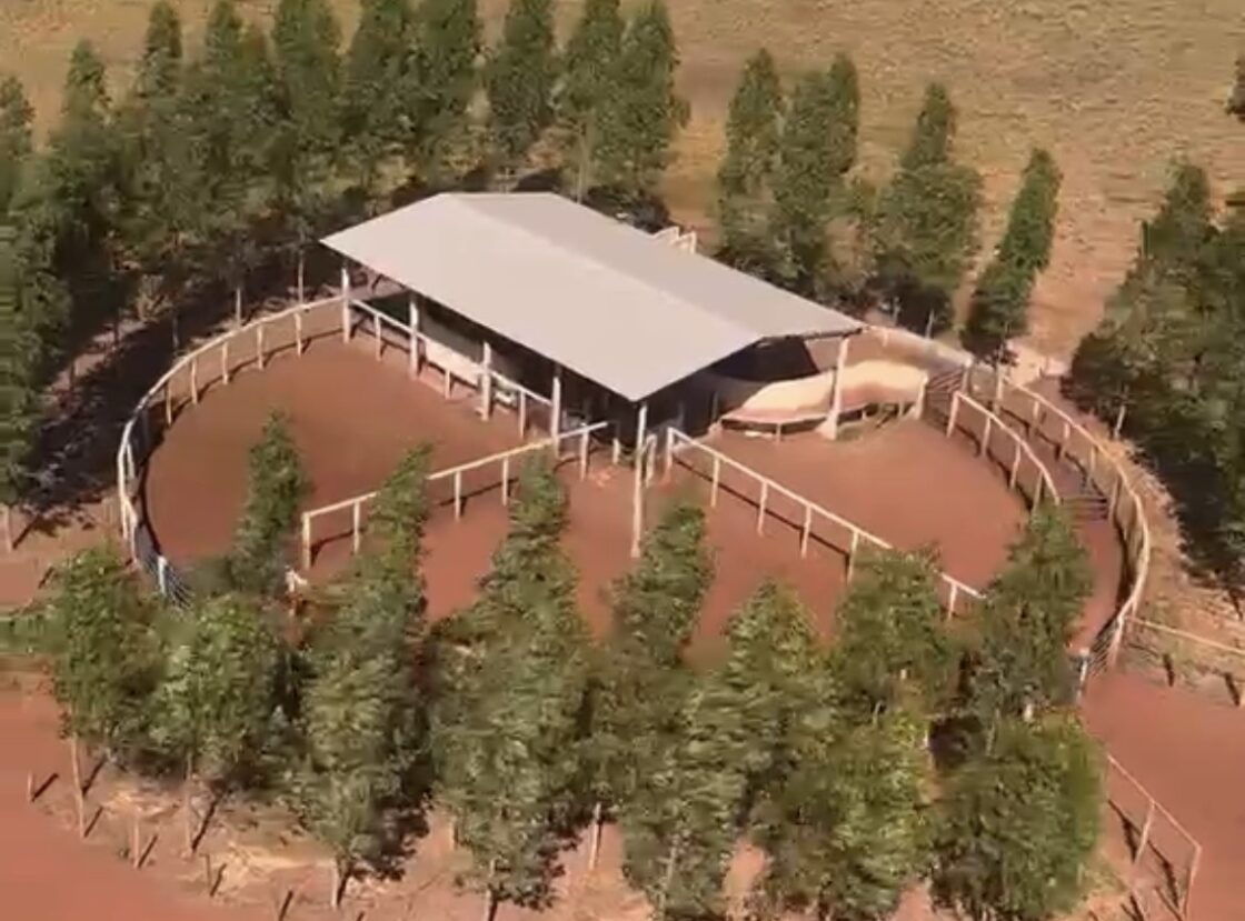 MODERNIZAÇÃO NO CAMPO Fazenda Campo Novo investe em pecuária sustentável no Maranhão com moderno modelo irrigação