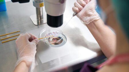 EVENTO DA SBGM São Luís recebe pela primeira vez o principal congresso de genética médica do país